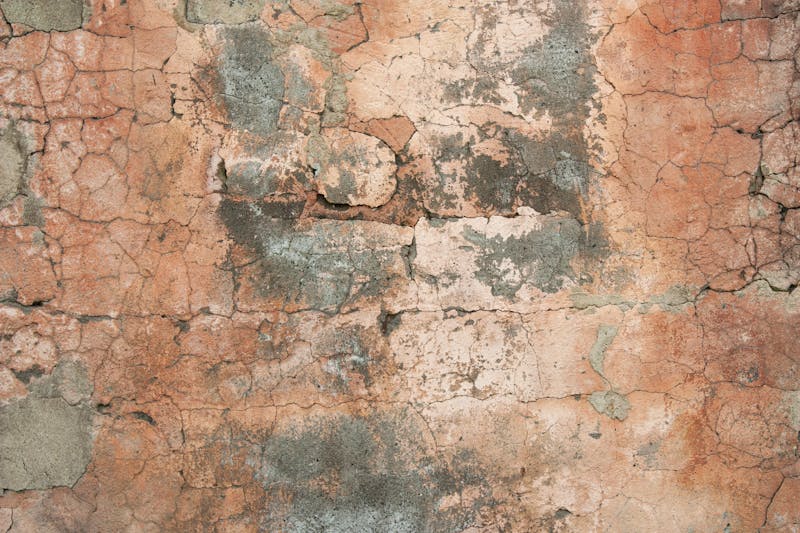 Plaster wall repair and restoration